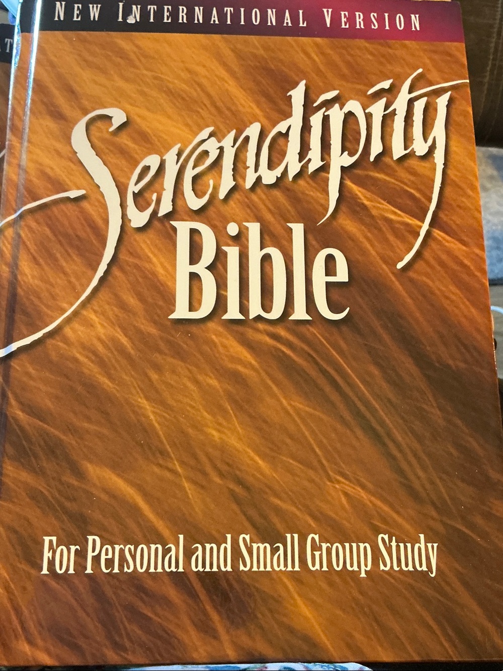 Serendipity Bible NIV